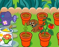 Dora's magical garden Celeb ingyen játék